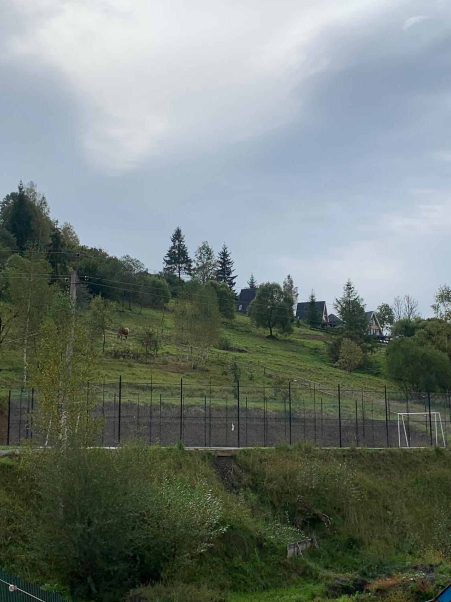 Аура Карпат Villa Slavske Buitenkant foto