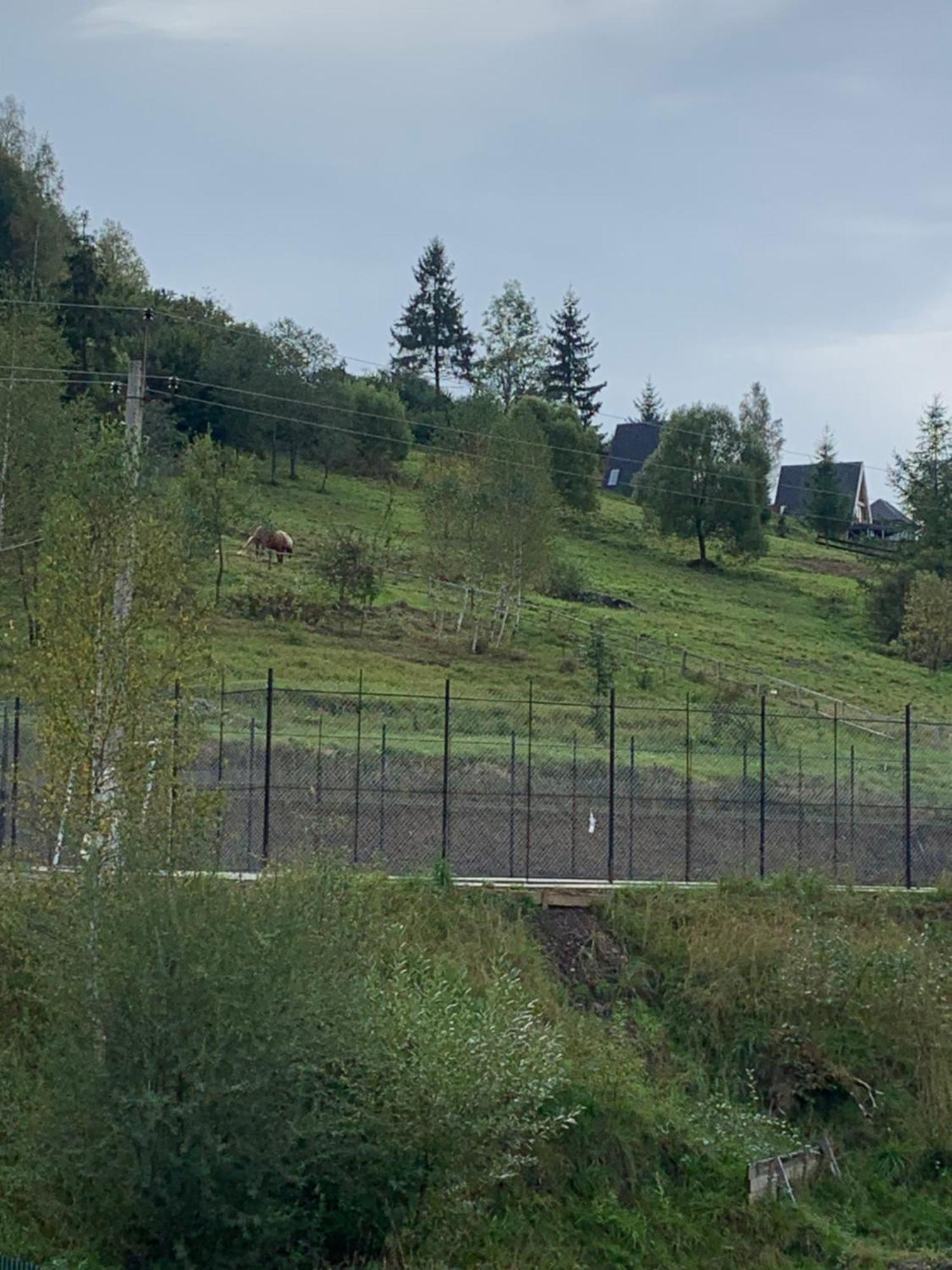 Аура Карпат Villa Slavske Buitenkant foto